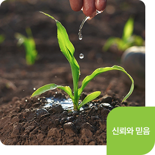 신뢰와 믿음