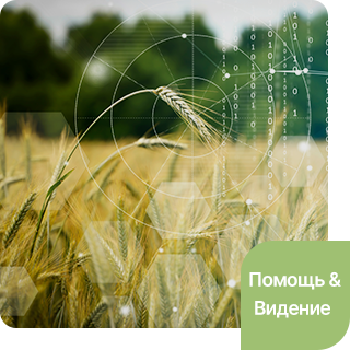 Поддержка и видение
